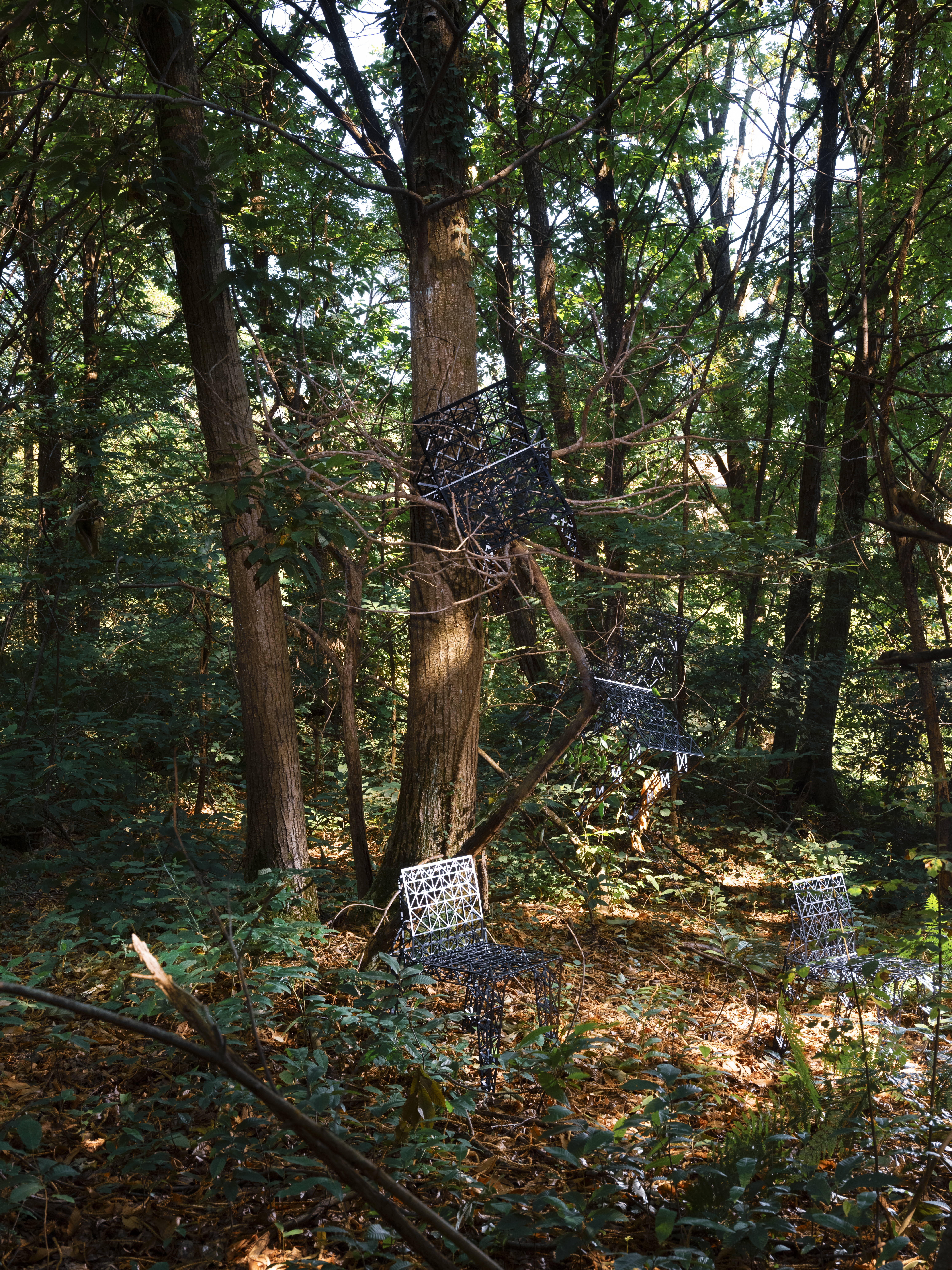 Alias Lanuda "Ordini Diversi. Due mondi in equilibrio" ph. Norberto Pezzotta 6